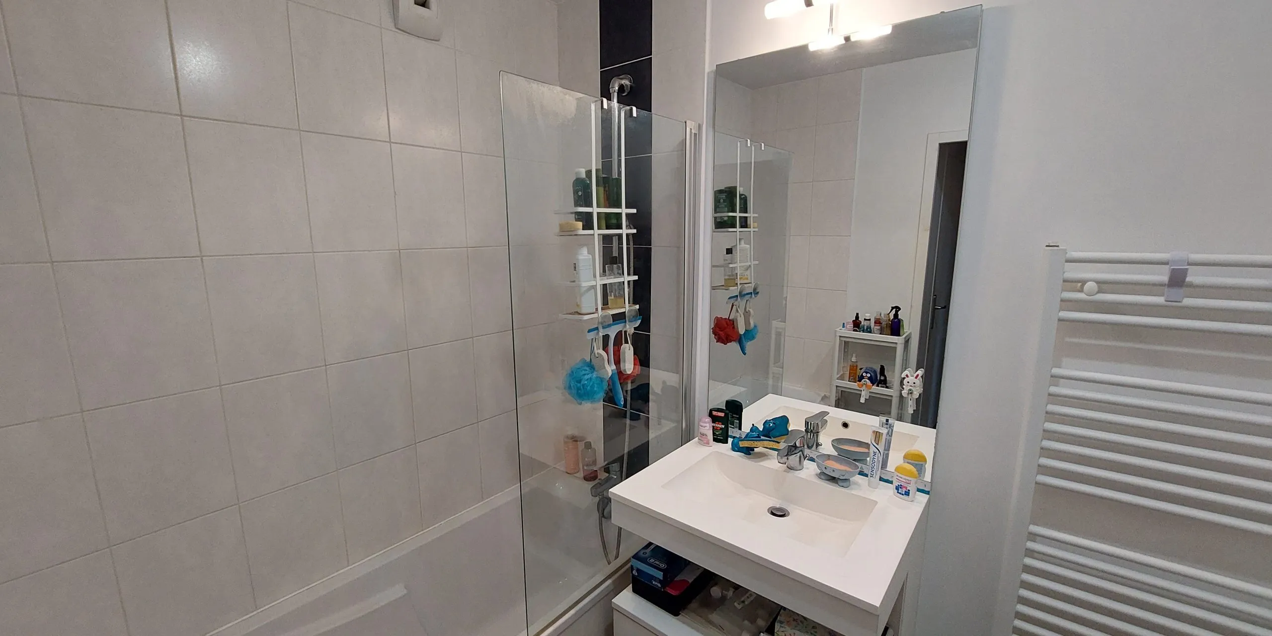 salle d'eau appartement Type 3 de 70 m2 à vendre sur Tours-Nord | Vente 37