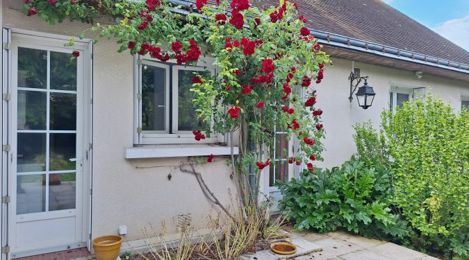 Image maison à vendre 5 chambres sur vaste parcelle MONNAIE 37 | Vente 37.fr • Bien proposé par GAUTARD Immobilier