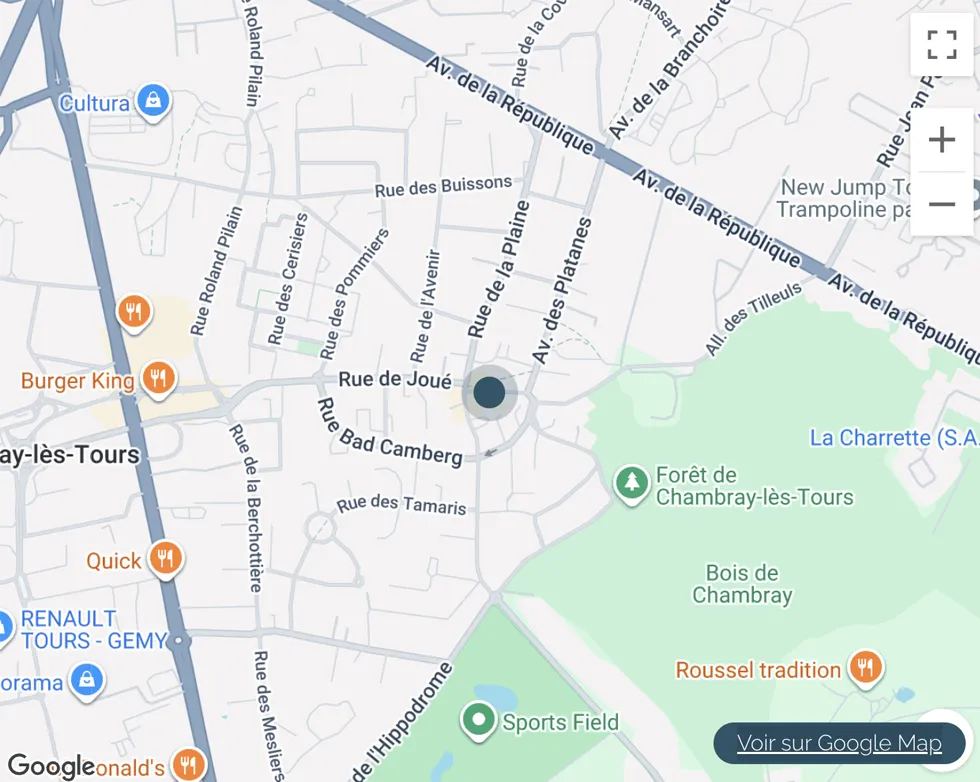 plan localisation Terrain de 6500 m2 env avec parc boisé pour construction maison à vendre sur chambray-lès-tours | Vente 37