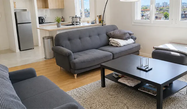  Aménagement pièce à vivre Appartement Type 3 de 60 m2 env. avec cave et garage à vendre sur Tours Centre proche avenue de grammont | Vente 37.fr