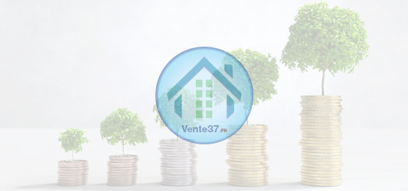 image maison, appartement sur vente37 pour investir dans la pierre sur tours ou indre_et_loire 37