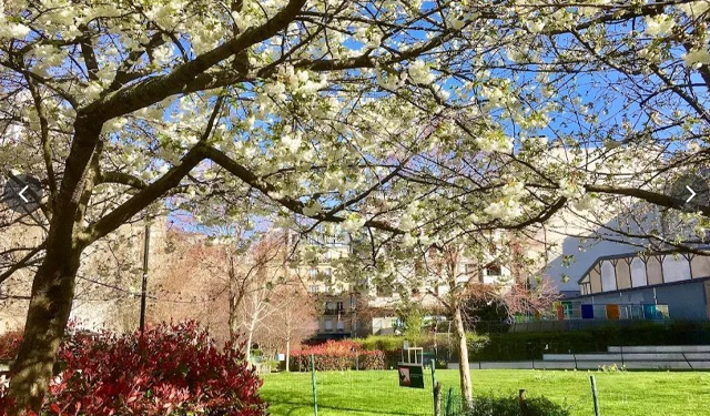 Image Parc de la Folie a proximite de studio à vendre sur Paris | VENTE37.FR